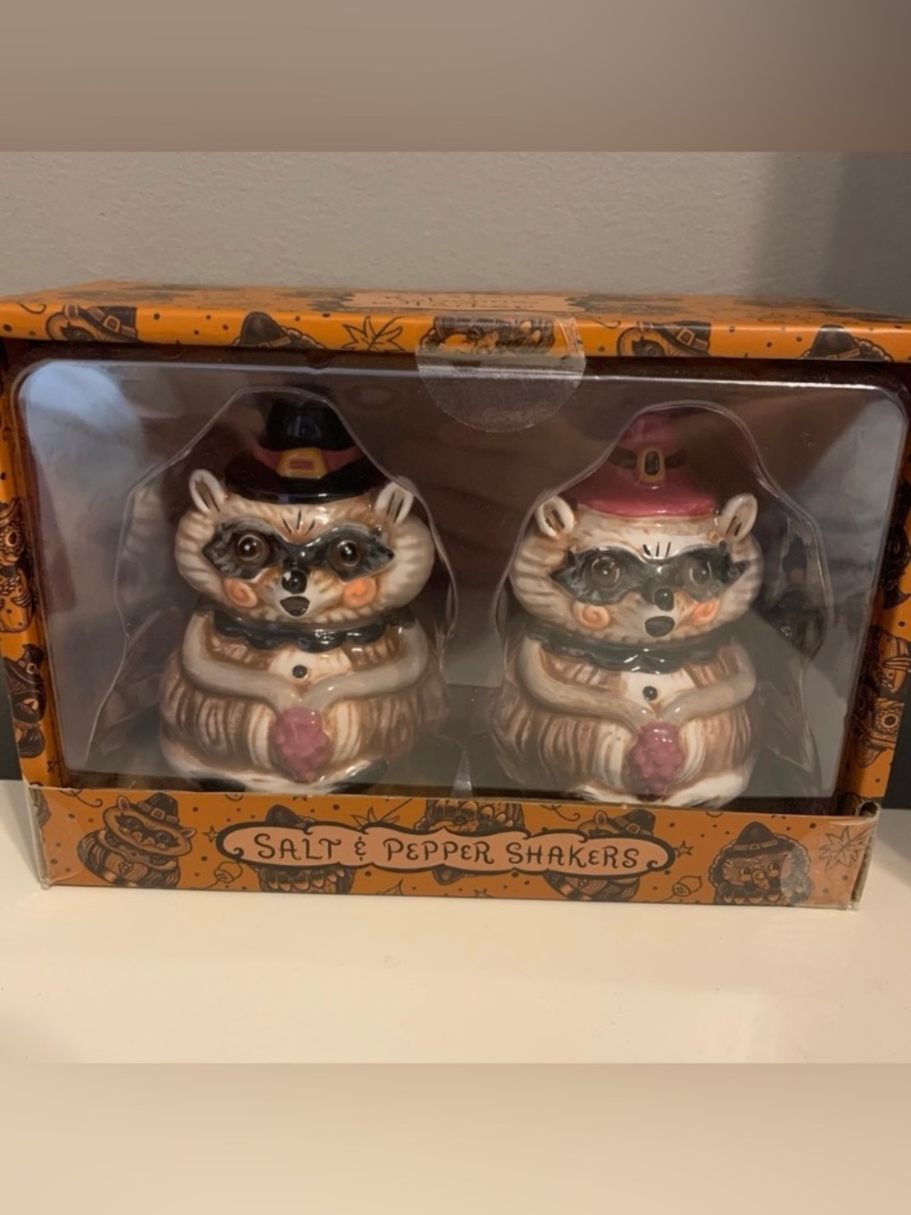 Johanna Parker Fall Raccoon Salt & Pepper Shakers 2026